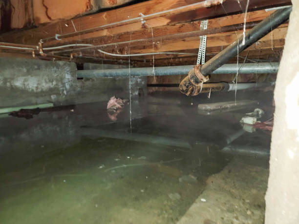 , WA Water damage restoration Company