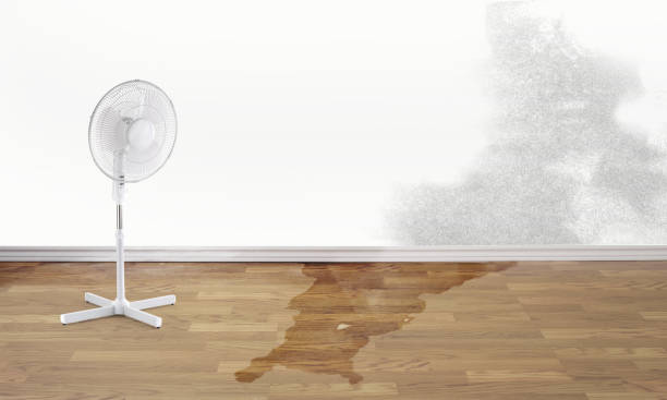 Best Commercial water damage restoration  in Mcmillin, WA